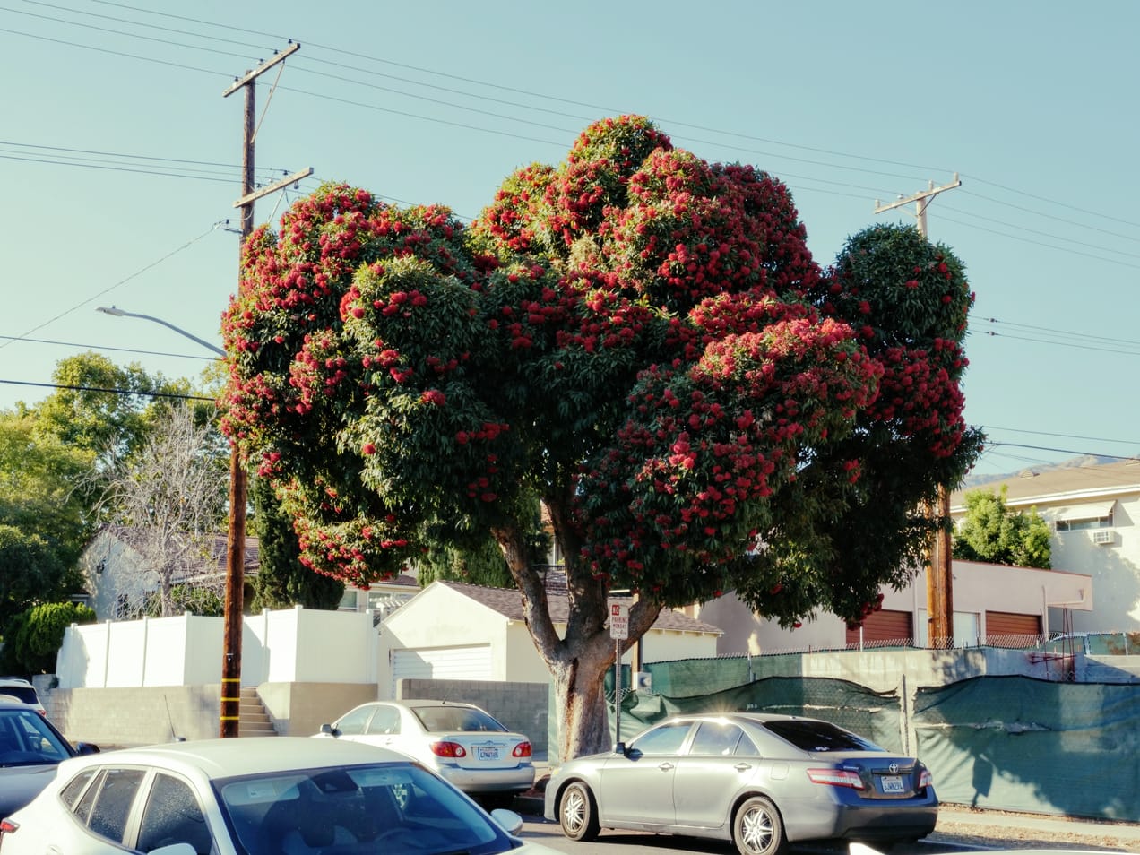 Covenant Church — Morning & Evening Worship: August 25, 2024