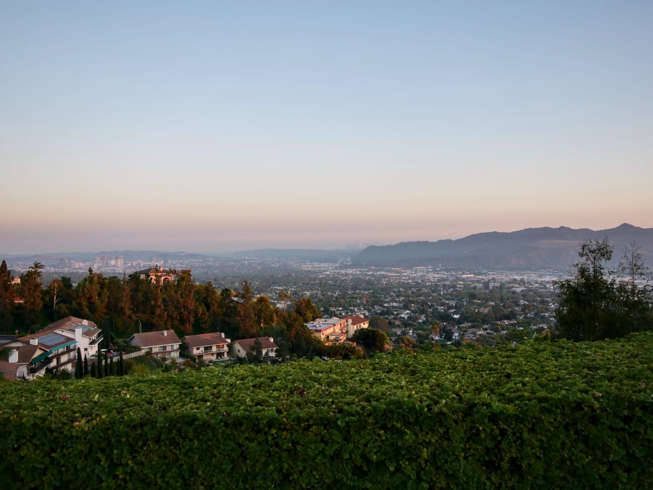 So Many Good Things!