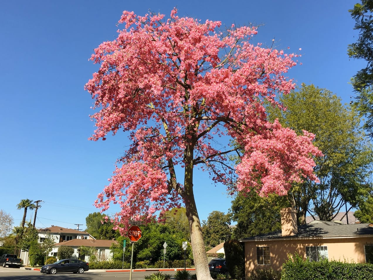 Dinner Fellowship Tonight! And Morning & Evening Worship on Sunday