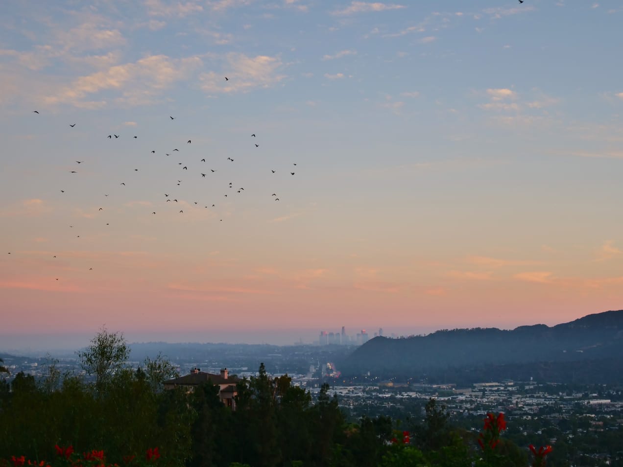 Covenant Church — Morning & Evening Worship: October 13, 2024