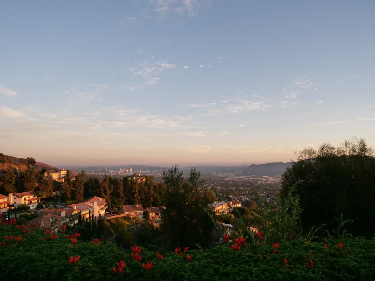 Covenant Church — Morning & Evening Worship: October 20, 2024