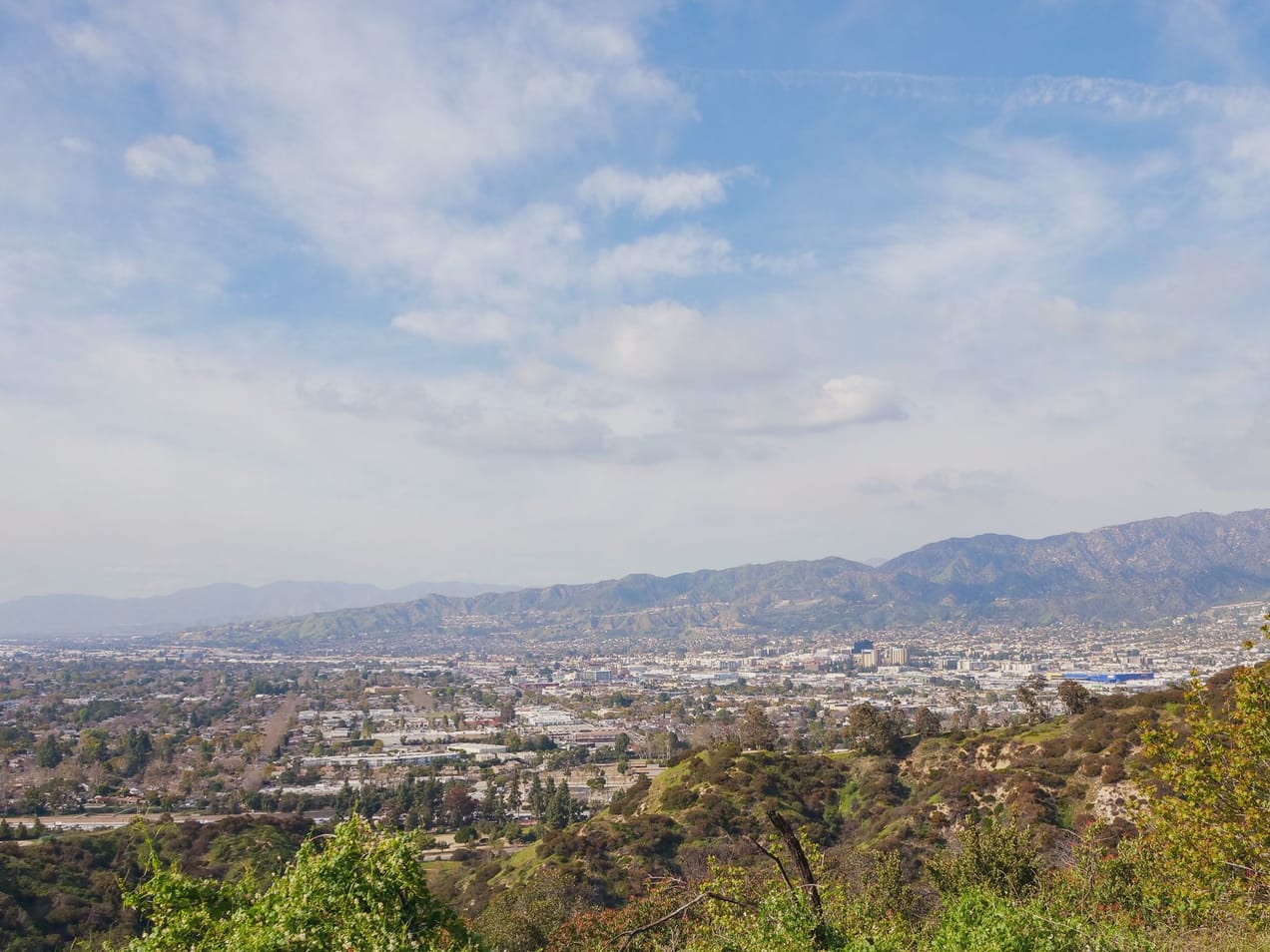 Covenant Church — Morning & Evening Worship: November 24, 2024