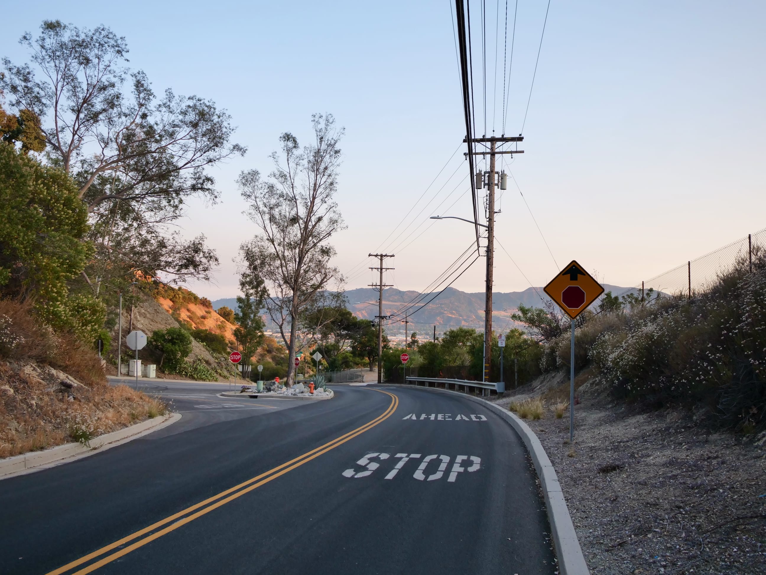 A Special Sunday: Tomorrow!